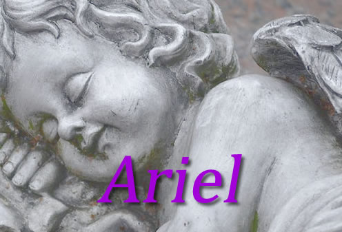 L’ange gardien Ariel