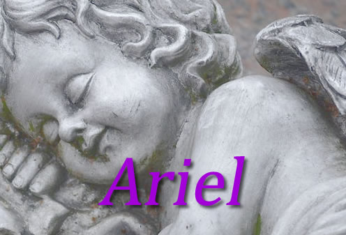 Ariel