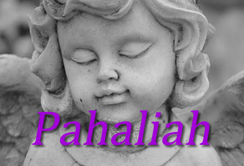 L’ange gardien Pahaliah